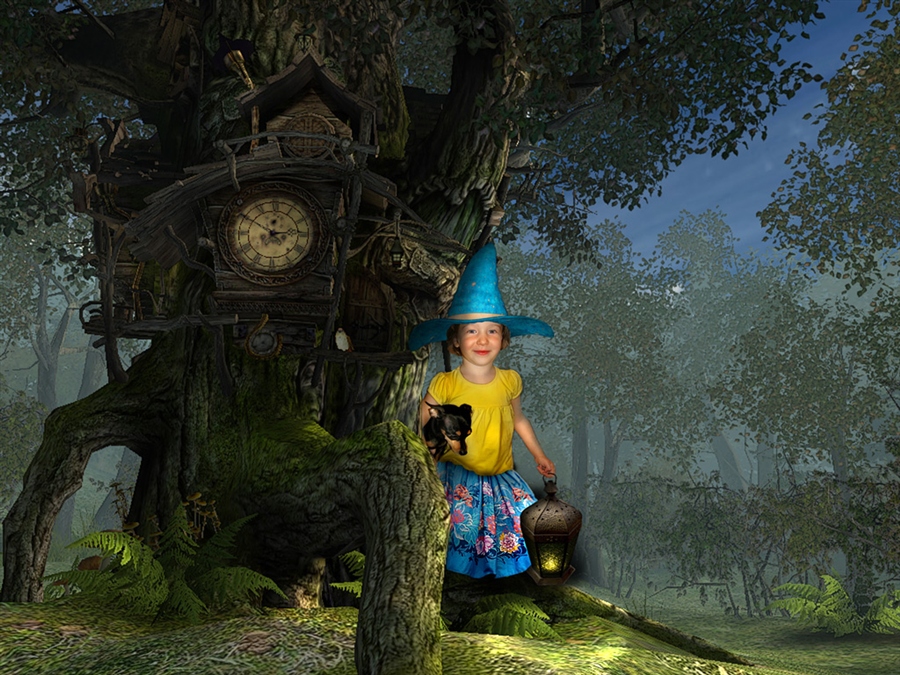 fantasy forest