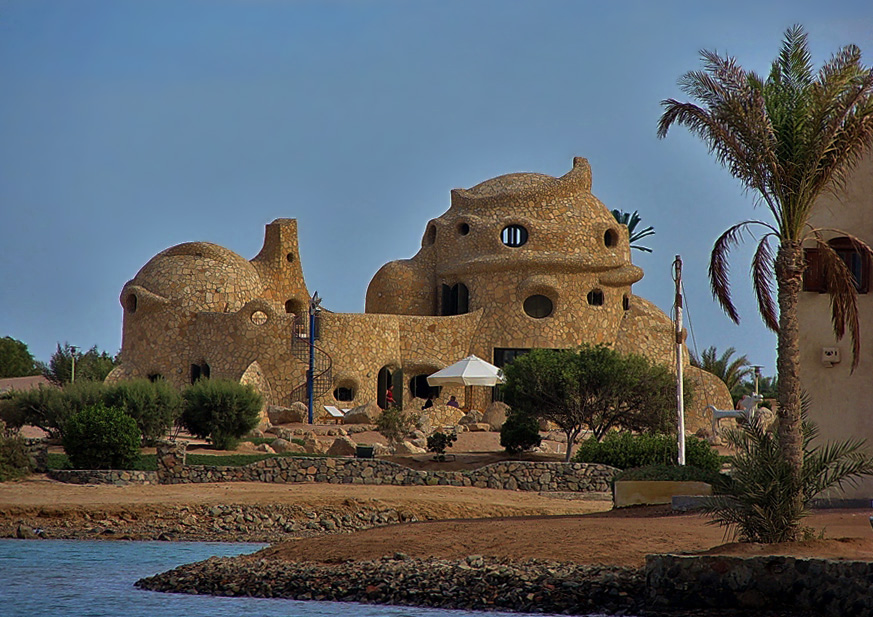 Фото жизнь - Галина Нефедова - корневой каталог - ***