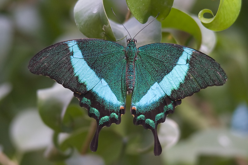 Фото жизнь (light) - Fotokritik - корневой каталог - * * *