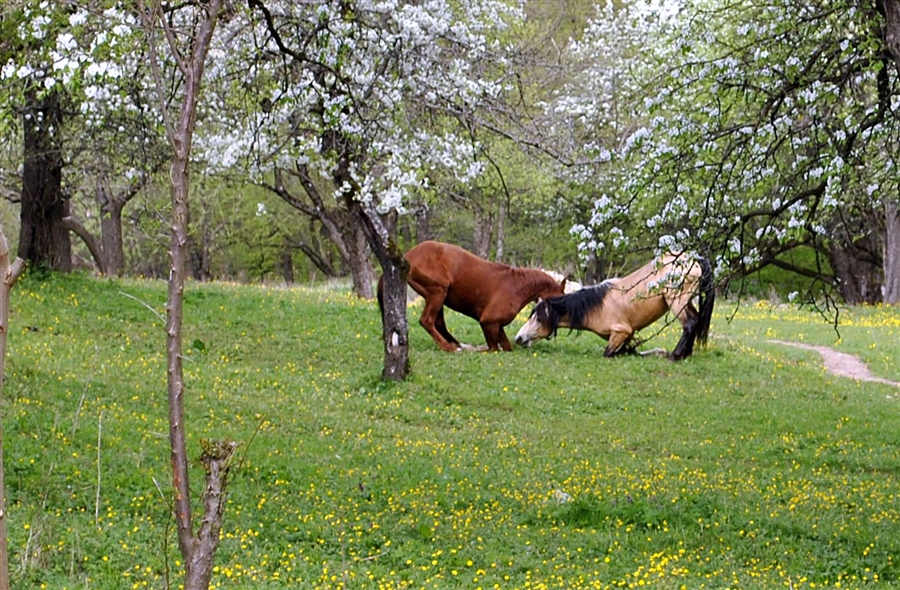 Фото жизнь