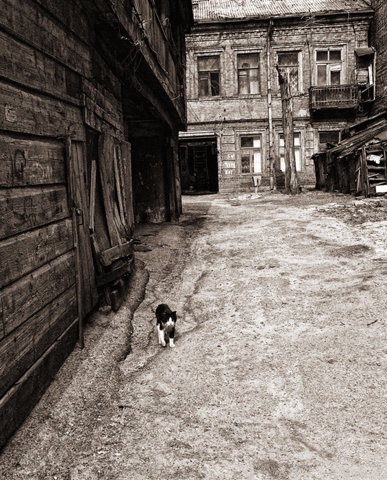 Фото жизнь
