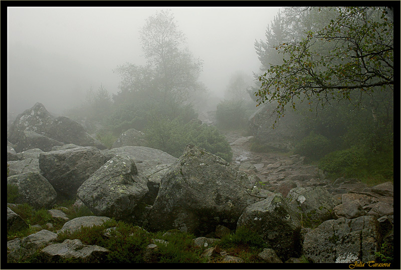 Фото жизнь (light) - Julia Tarasova - Norway - Там где-то в тумане прячутся тролли....