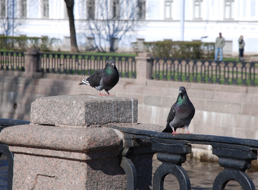 Фото жизнь