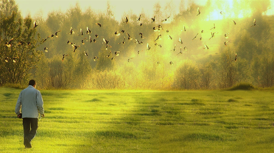 Фото жизнь