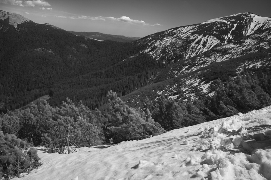 Фото жизнь (light) - CKira - корневой каталог - Карпаты