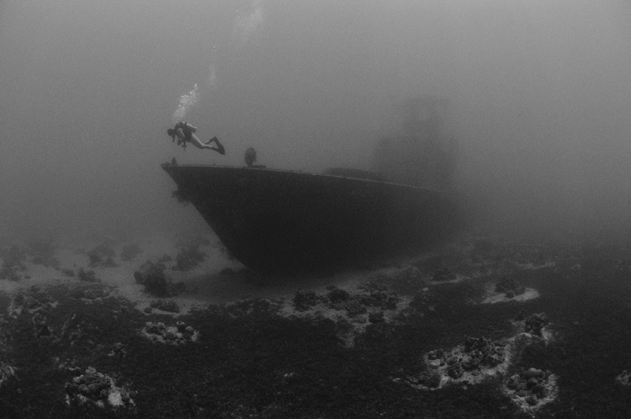 Фото жизнь - Evgeniy Varnavskiy - Подводный мир - После войны