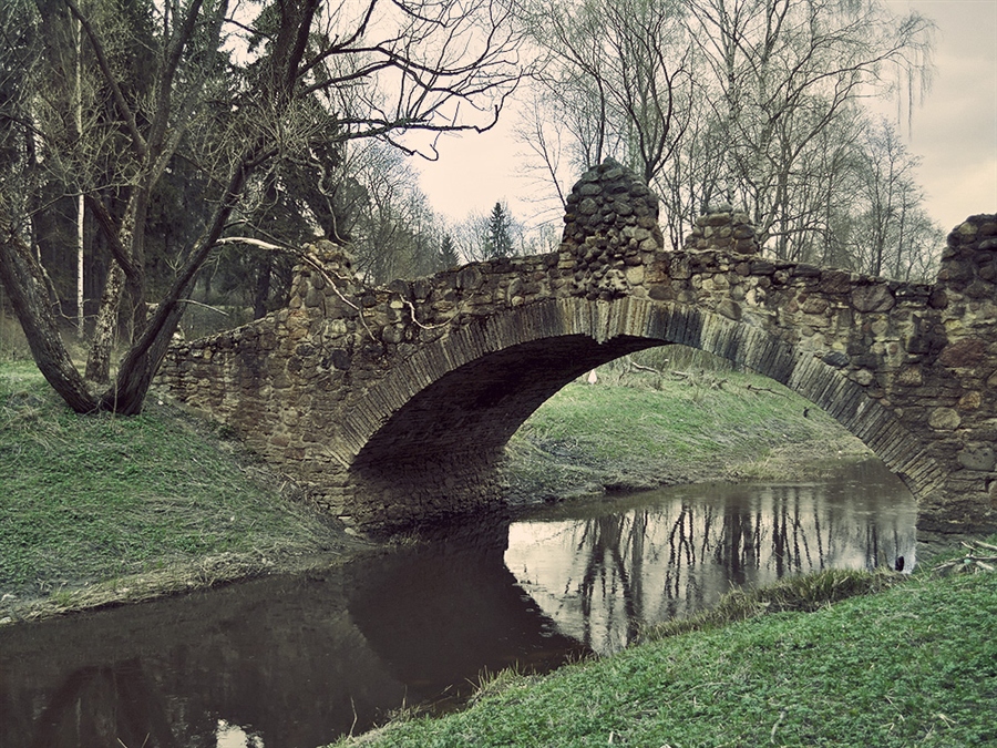 Фото жизнь