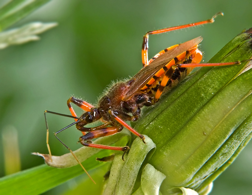 Фото жизнь (light) - moskaev - корневой каталог - ***