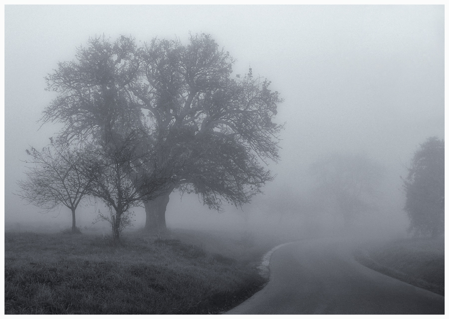 Фото жизнь (light) - mystera - Faszination Nebel. - ...