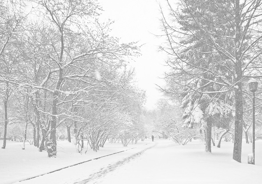 Фото жизнь