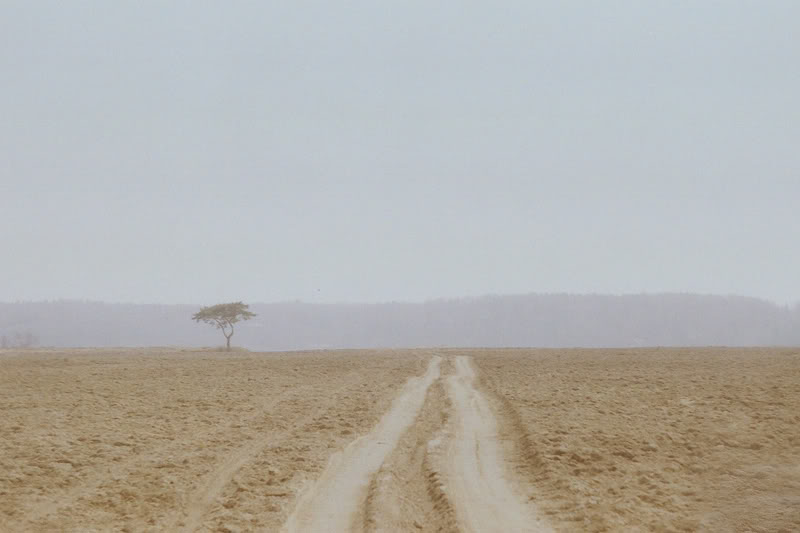 Фото жизнь (light) - nadialis - корневой каталог - ___________