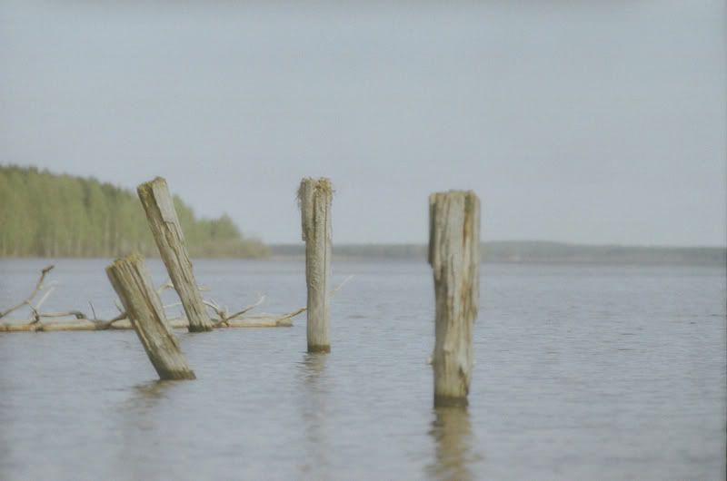 Фото жизнь (light) - nadialis - корневой каталог - калифорния