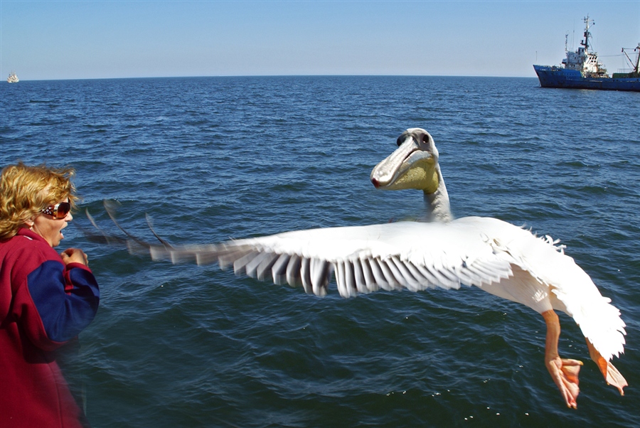 В глаза смотреть!