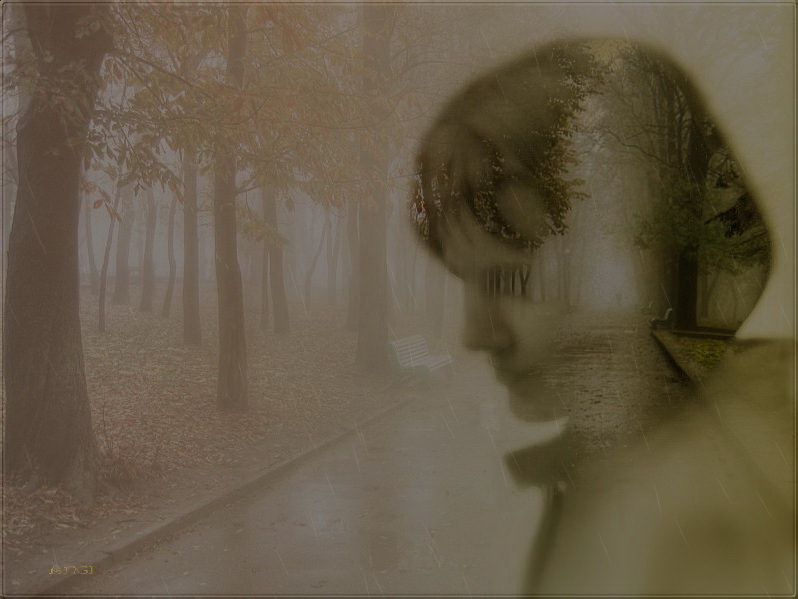 Фото жизнь (light) - Angela Wojtowska  - Коллажи...миражи - с осенью в душе...