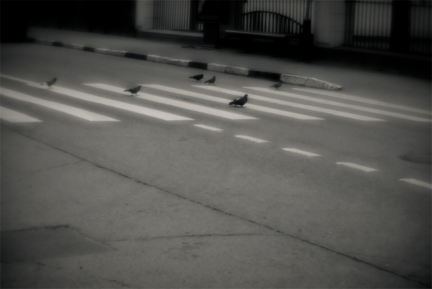 Фото жизнь (light) - Porco - монокль - пешеходы