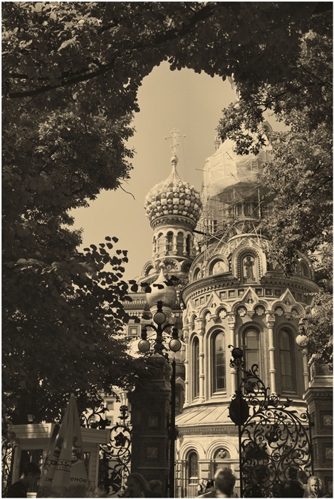 Фото жизнь