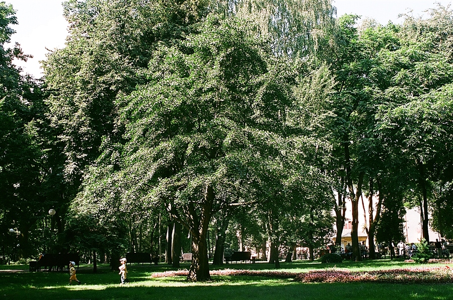 дети