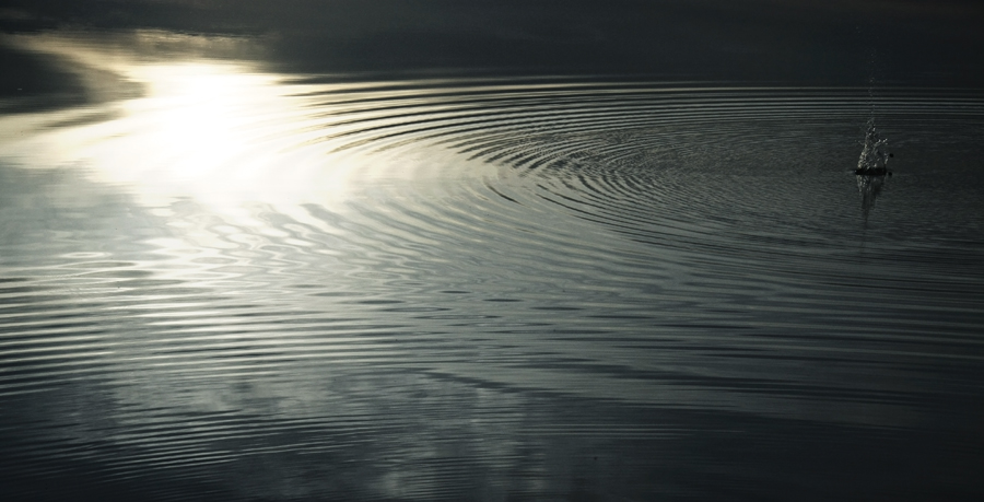 Фото жизнь (light) - Crismans Studio Alliance - корневой каталог - Всплеск