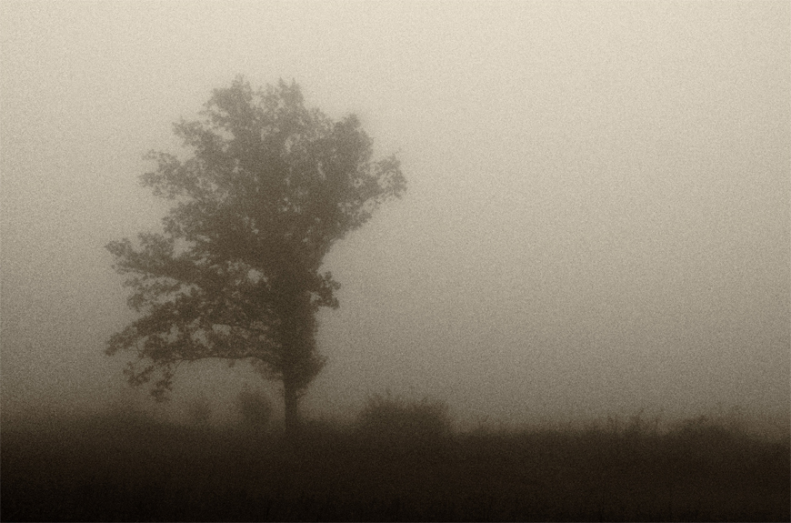 Фото жизнь (light) - mystera - Faszination Nebel. - Один в тумане воин...