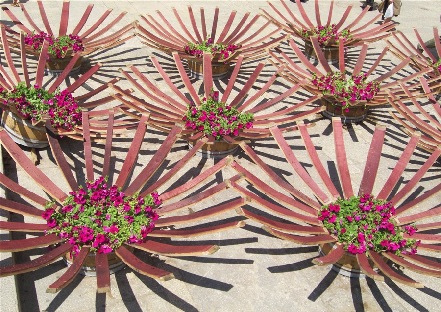 Barrel-Flower