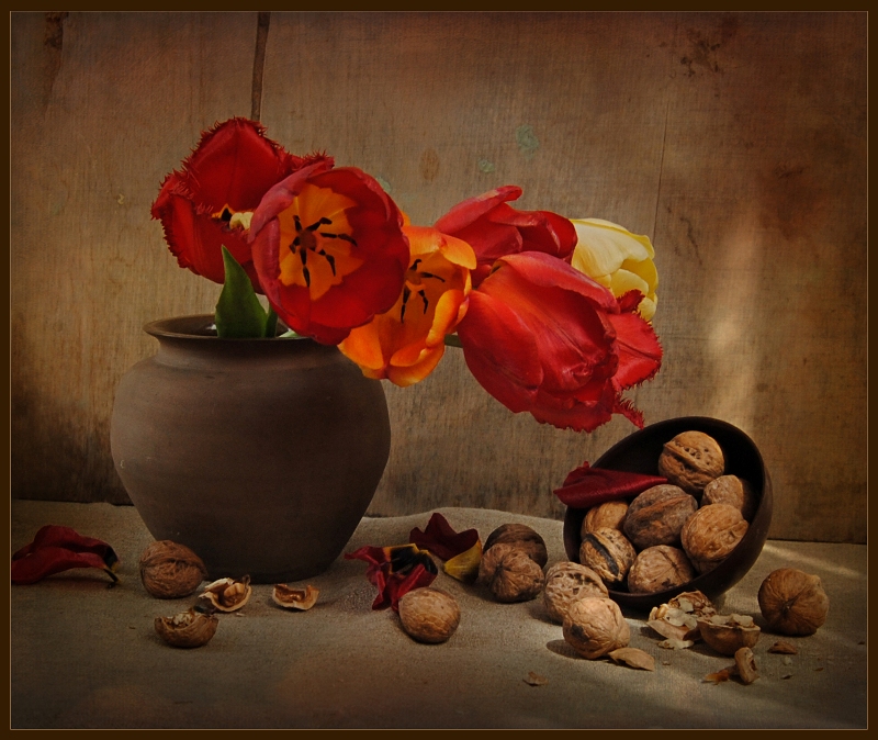 Фото жизнь (light) - Elena_P - корневой каталог - Еще раз про тюльпаны...