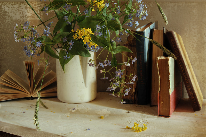 Фото жизнь (light) - _N_ - этюды - с полевыми цветами и книгами