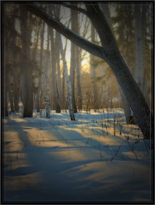 Фото жизнь