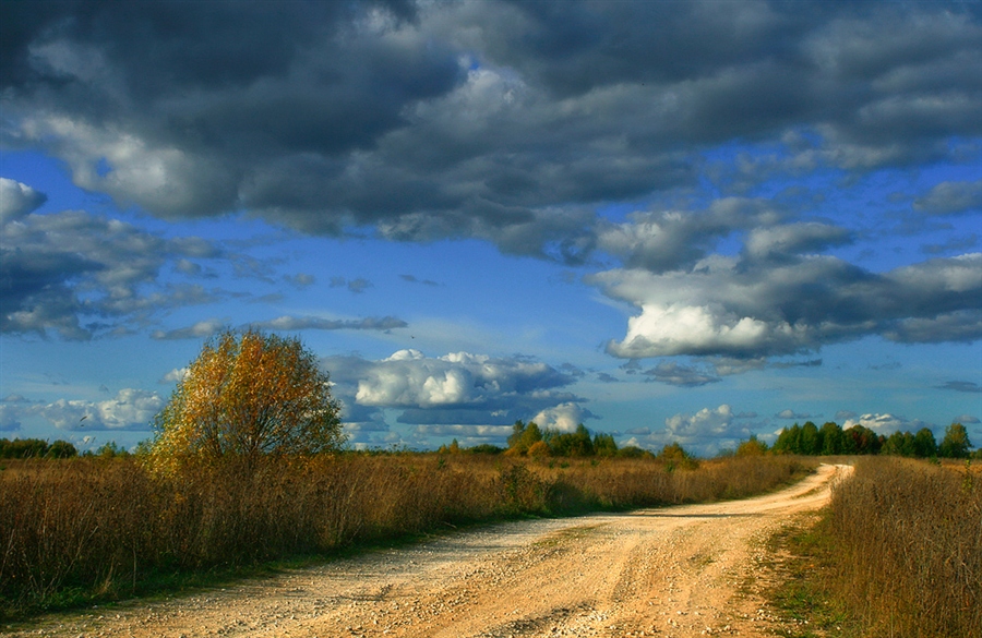 Фото жизнь