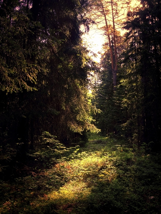 Фото жизнь