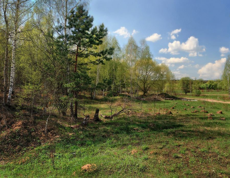Фото жизнь