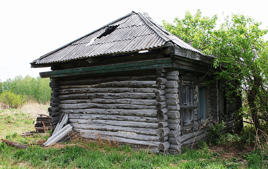 Фото жизнь