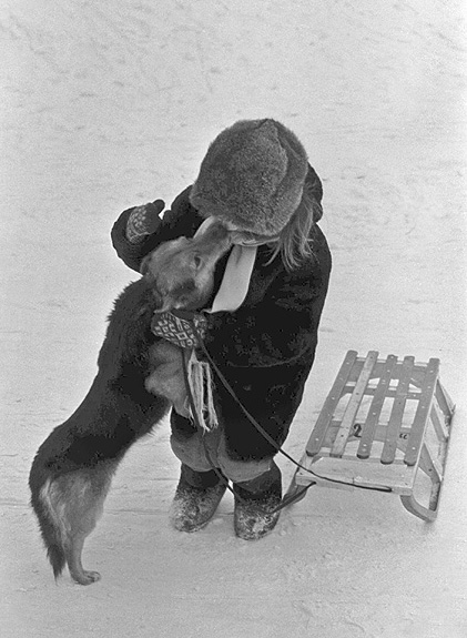 Фото жизнь - Николай Пушилин - корневой каталог - Собаки - самые понимающие и преданные люди :-)