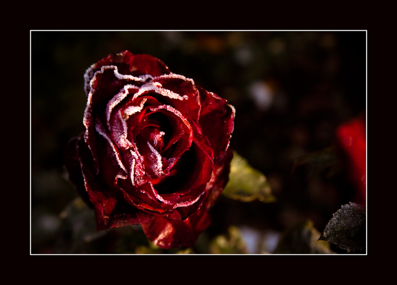 Фото жизнь (light) - Константин Васильев - корневой каталог - И такое бывает...