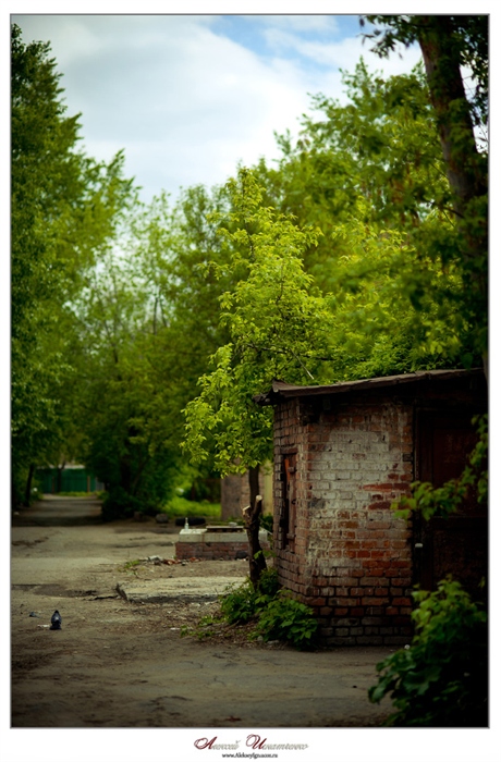 Фото жизнь