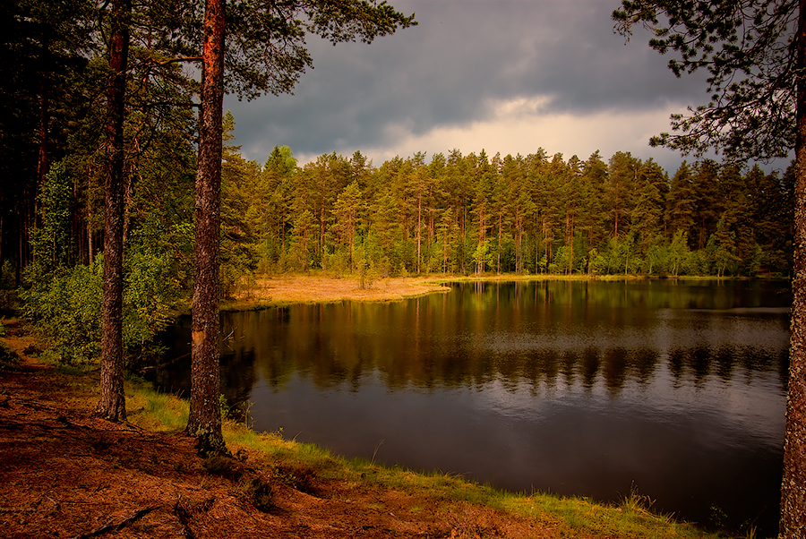 Фото жизнь (light) - temas - Аroundspb - ***