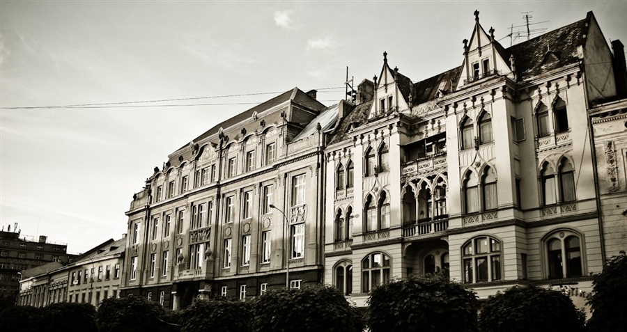 Фото жизнь