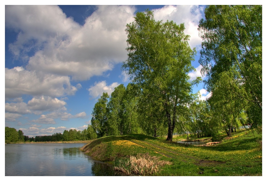 Фото жизнь