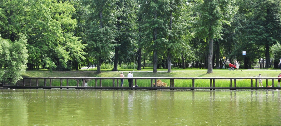 Фото жизнь
