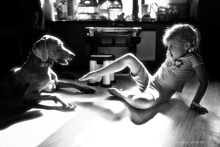 Фото жизнь (light) - Оксана Цехмистер - корневой каталог - Ребенок и зверь