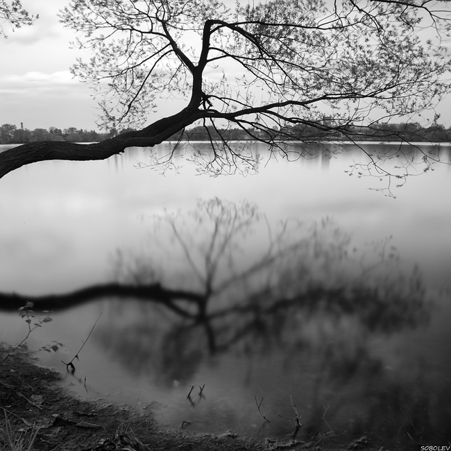 Фото жизнь (light) - nikolay.sobolev  - B/W ©                                   nikolay sobolev - "in reflection of water"