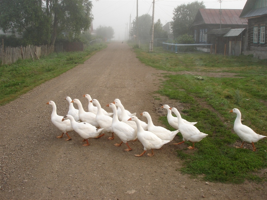 Фото жизнь