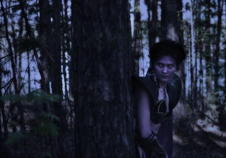 Фото жизнь - Papumem - корневой каталог - Полночь в эльфийском лесу