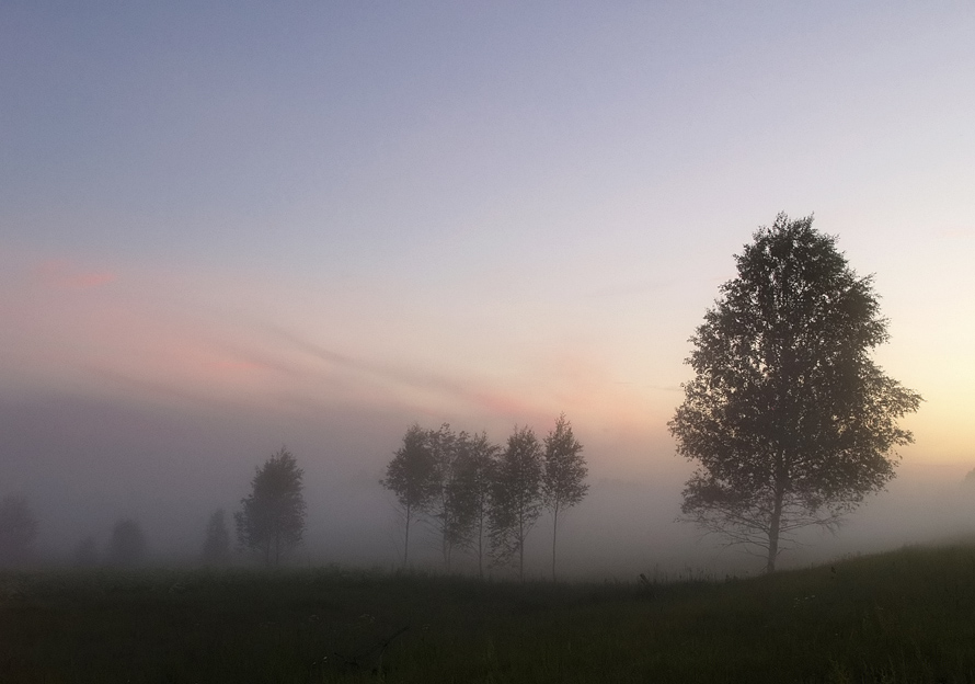 Фото жизнь (light) - Boris_ - пейзаж - ... и где-то ёжики в тумане