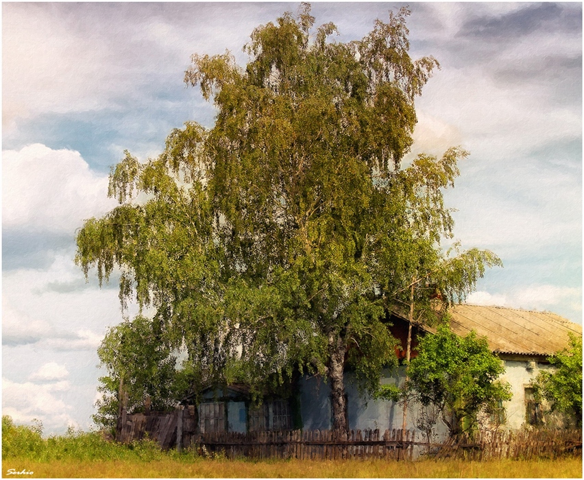 Фото жизнь