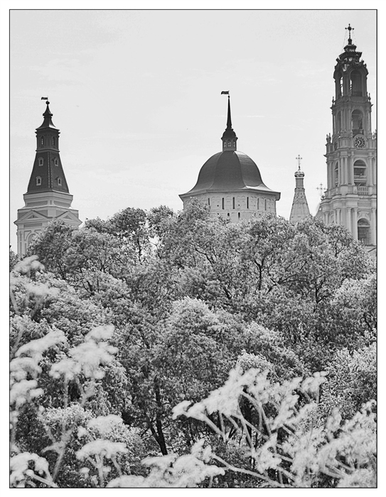 Фото жизнь