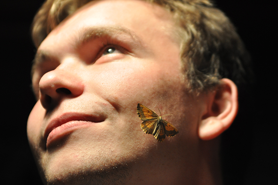 Фото жизнь (light) - Andrew_L - Люди, события.. - Butterfly affect