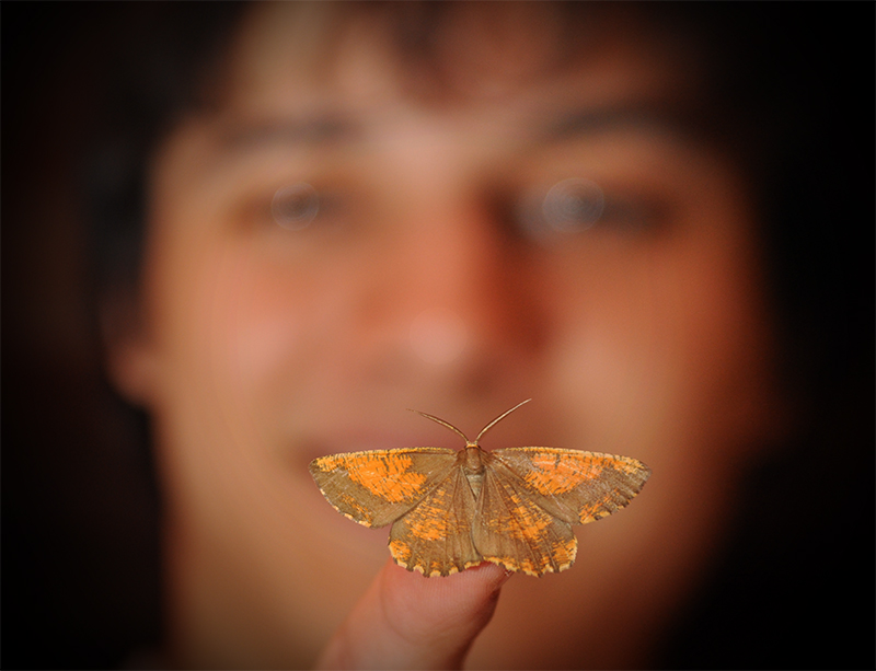Фото жизнь (light) - Andrew_L - Люди, события.. - Butterfly affect 2