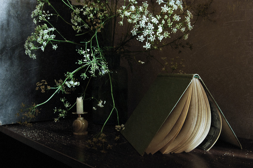 Фото жизнь (light) - _N_ - этюды - с книгой и свечой