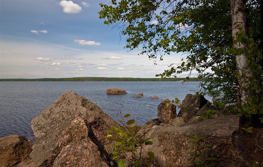 Фото жизнь