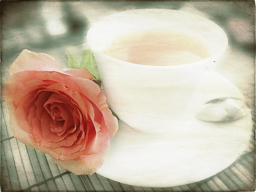 Фото жизнь (light) - vooky - simple beauty - чайная роза 